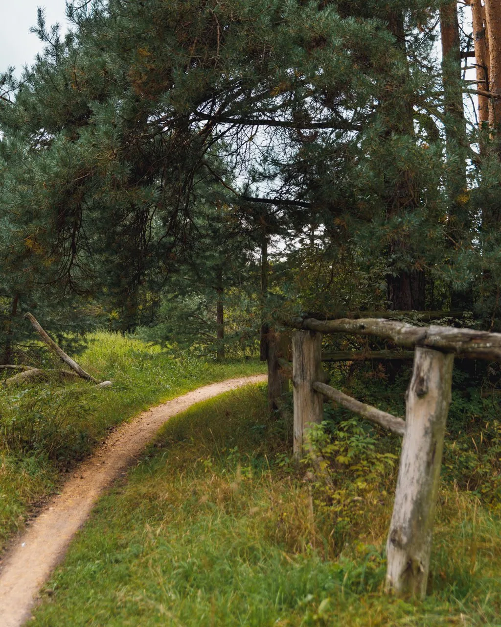 🌿 Заповедник «Лохин остров» — искусственный остров на Москве-реке

Образовался в конце XIX – начале