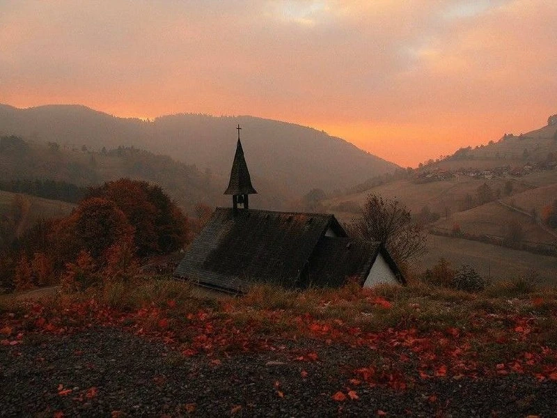 🌷 Доброе утро