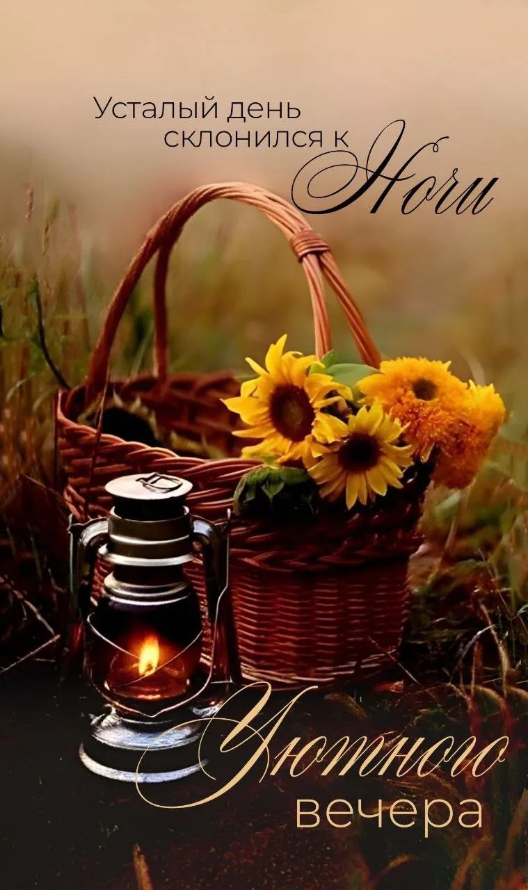 #УютногоВечера 🌼

👉Открытки! Подписаться