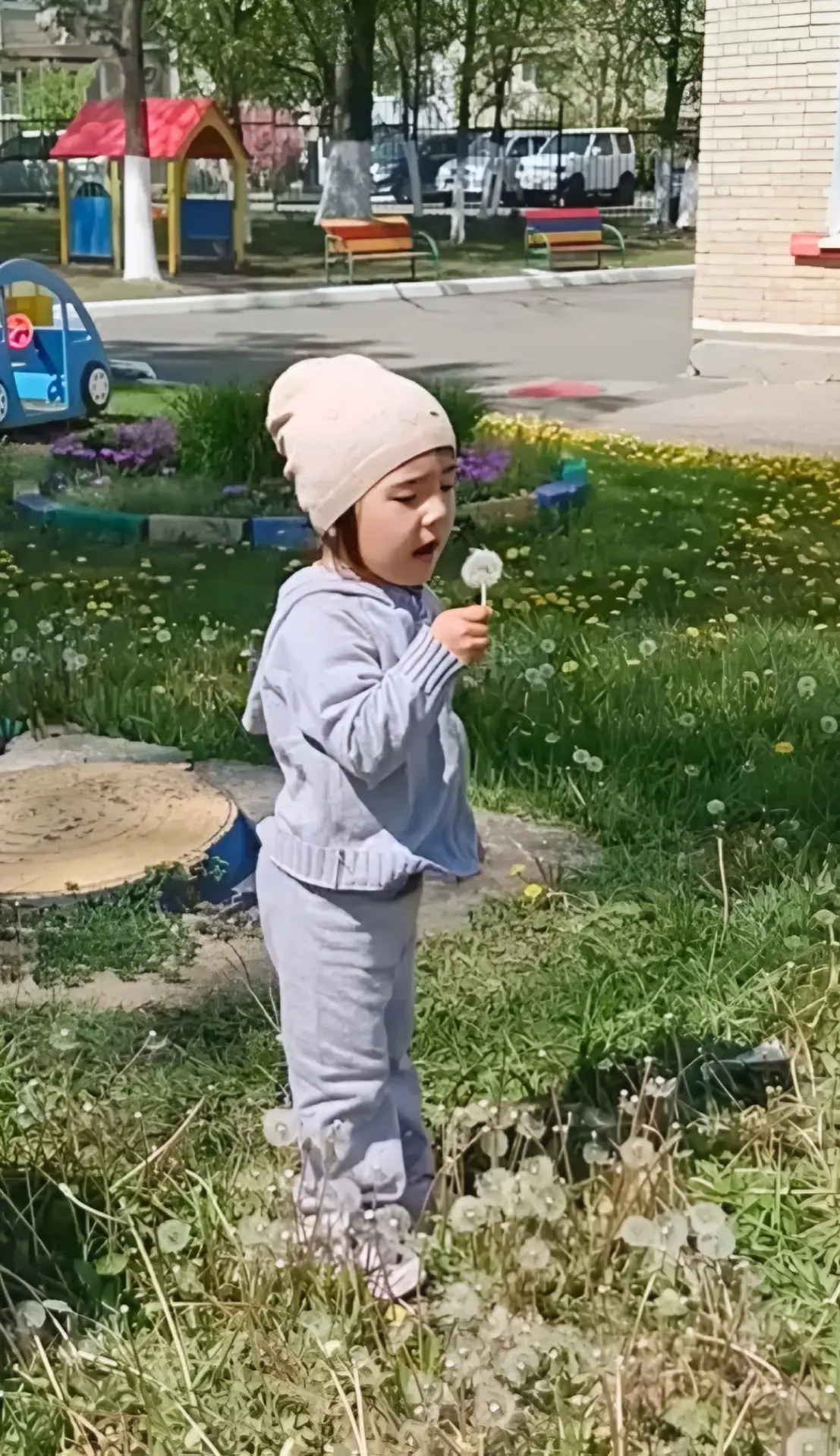 🔆🔆🔆🔆🌼🌼🌼🔆🔆🔆🔆