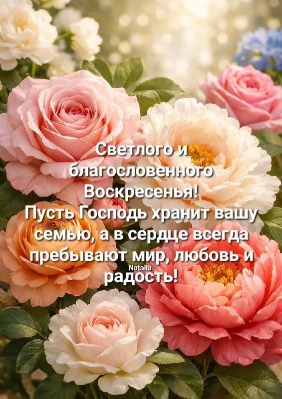 🌷 Открытки подписаться 👈