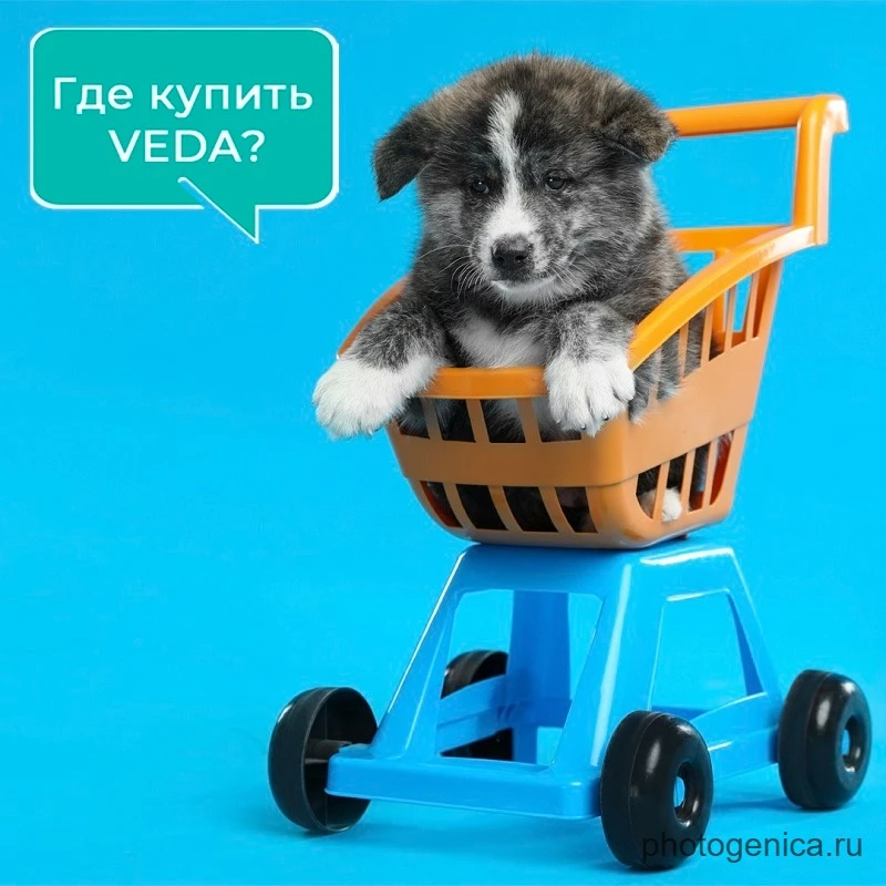 Где купить продукцию VEDA?🛒