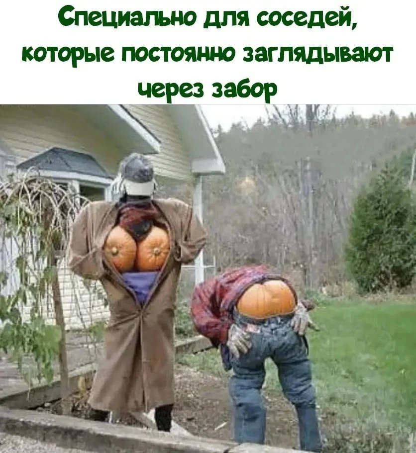 Когда у дачников с юмором все в порядке