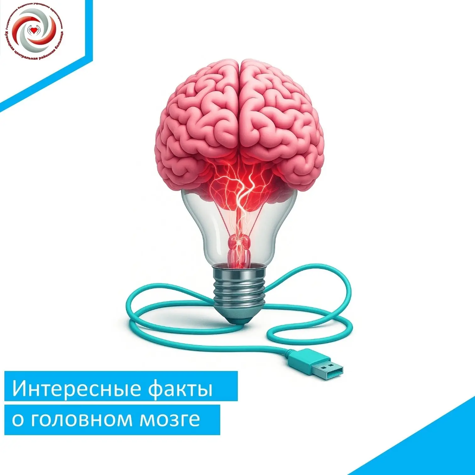 🧠Наш мозг — невероятно сложный орган, весом около 1,36 кг, который потребляет примерно 20% всей эне