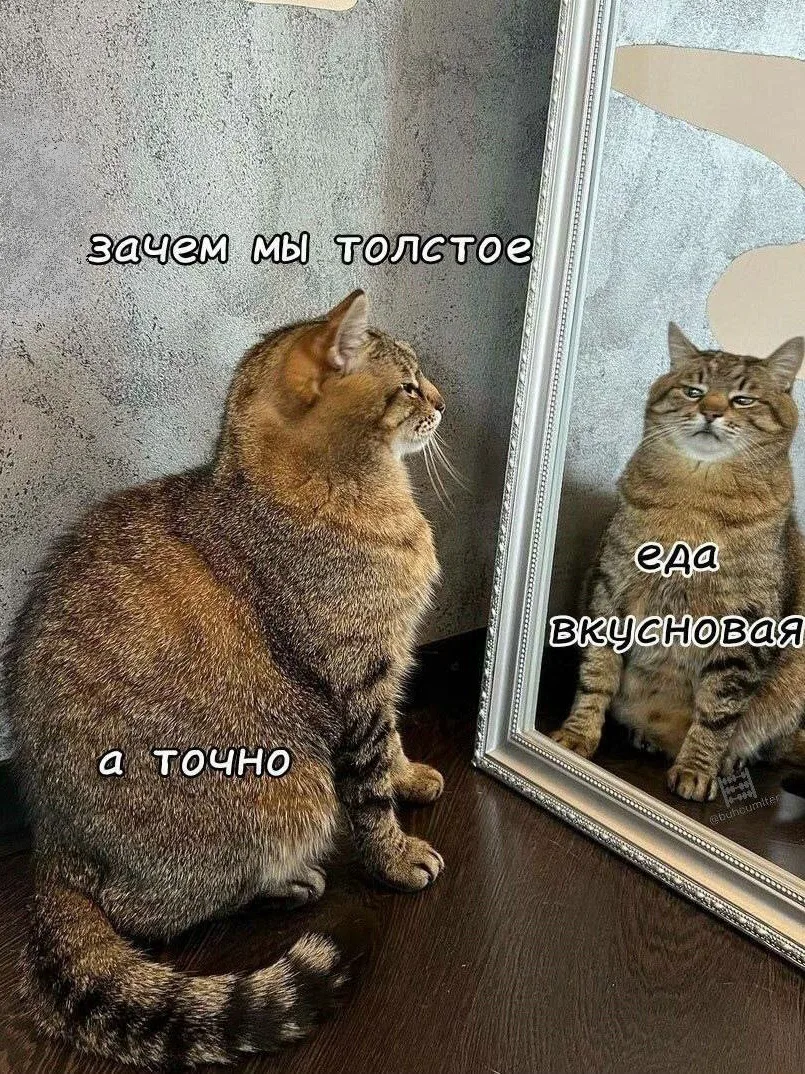 Назовите еще хоть одно животное, которое кормят не за то, что оно приносит пользу, охра...