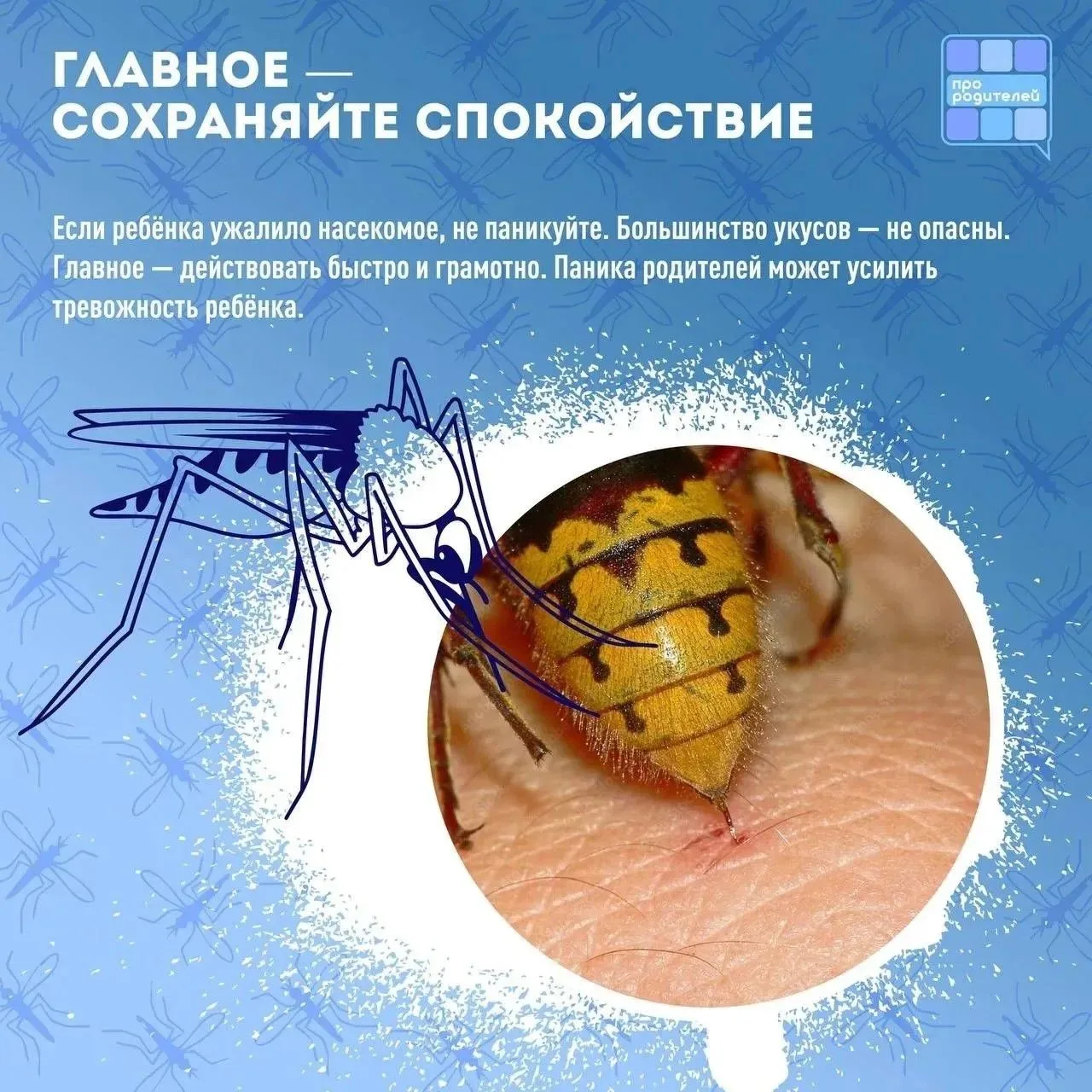Укус насекомого: что нужно знать каждому родителю

Укусы насекомых — это не просто дискомфорт. В слу