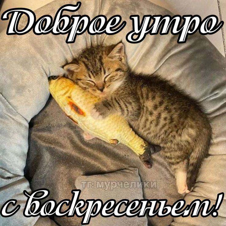 Идеальное утро — это когда выходной🥰