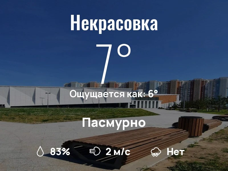 Что с погодой в Некрасовке?