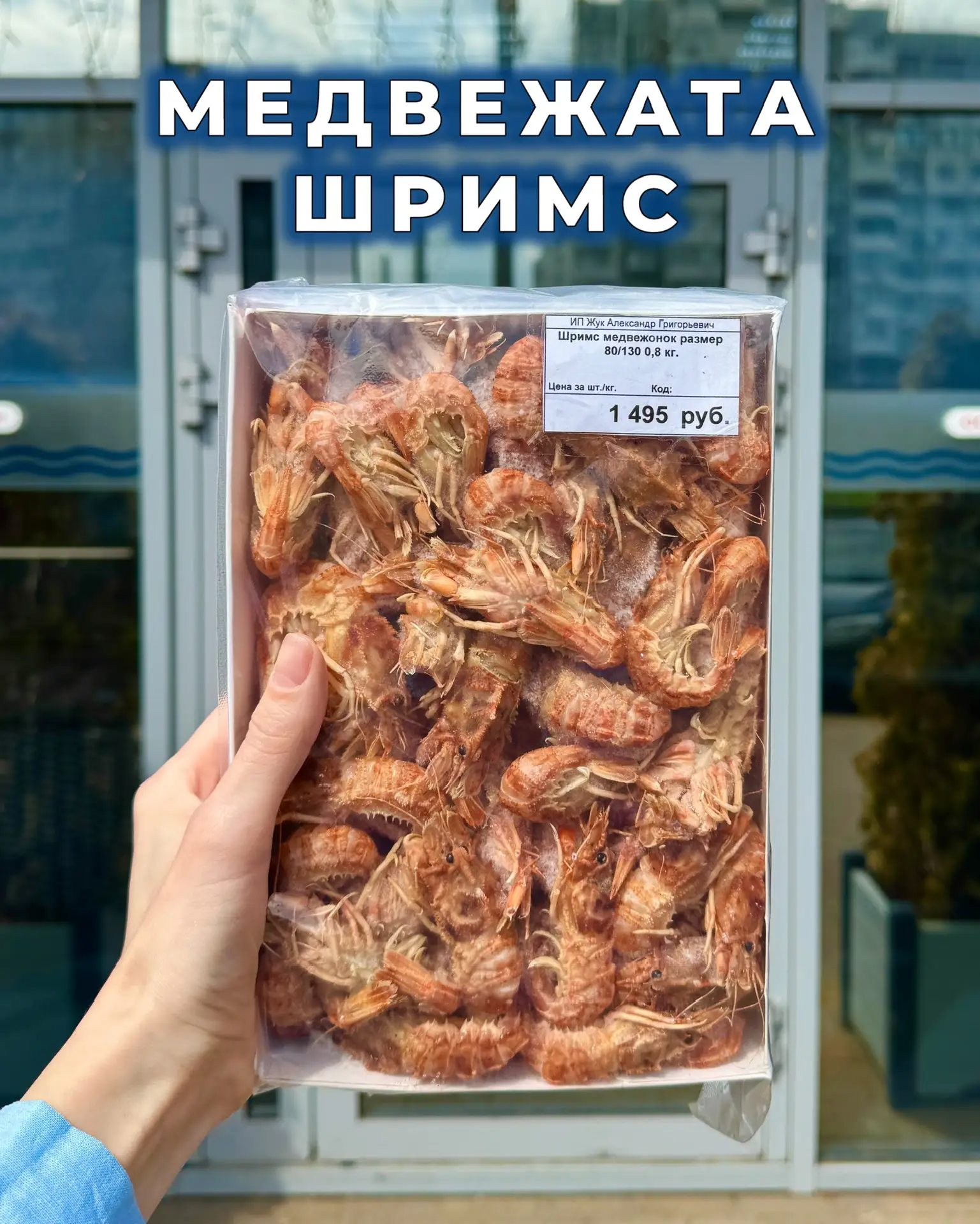 🐻Шримсы Медвежата🐻  Уникальная креветка с очень запоминающейся внешностью и вкусом 🥰 Она как будто б