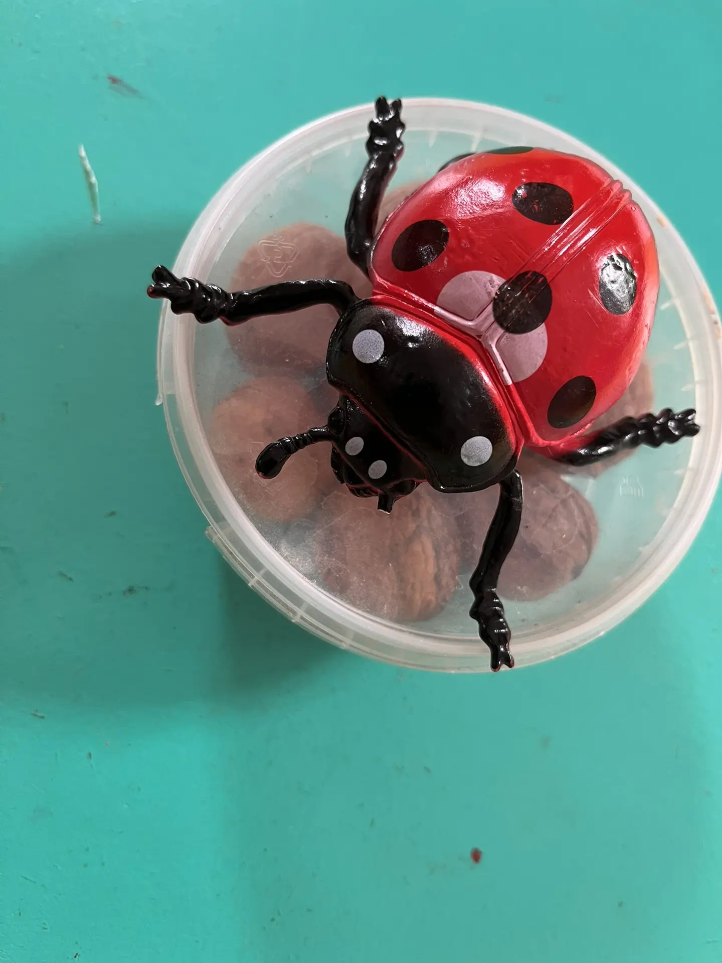 Сегодня у нас была тема "Насекомые". 🐞🦋 С большим восторгом и интересом дети рассматр...