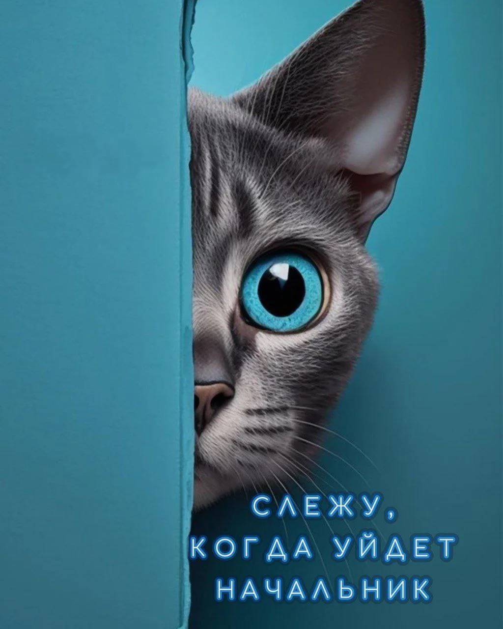 ~~~~~~~~~~~~~~~~~~~