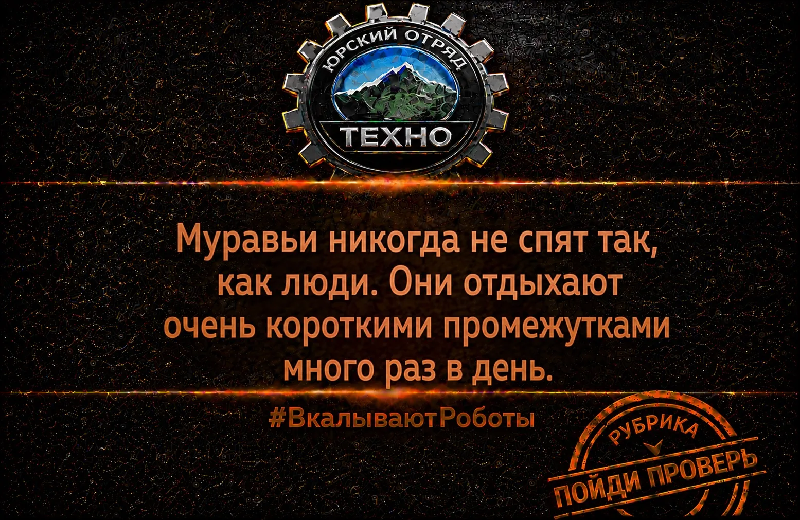 #ВкалываютРоботы #ROBOT #AGRO #TECH #AI #FYP