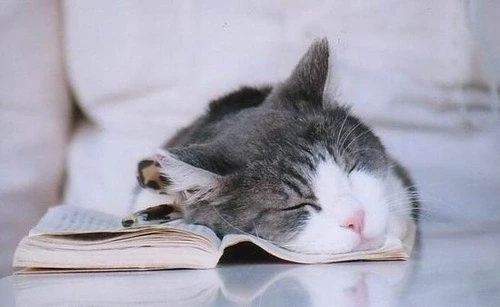 Самый оригинальный вариант книжной закладки!