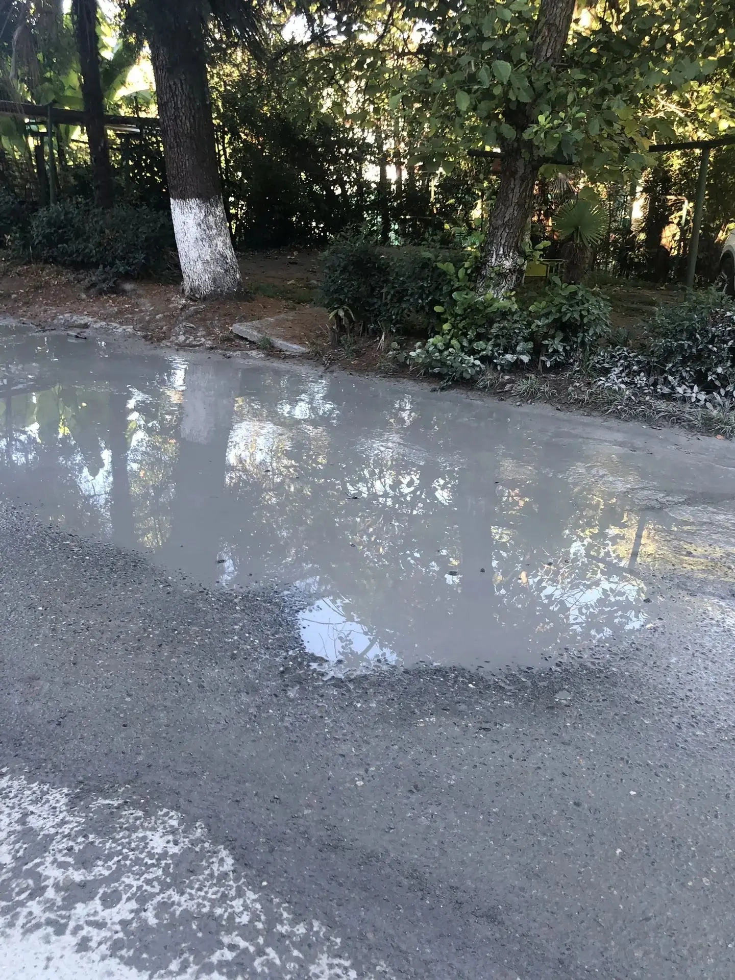 💦 На Чехова снова «водные процедуры»