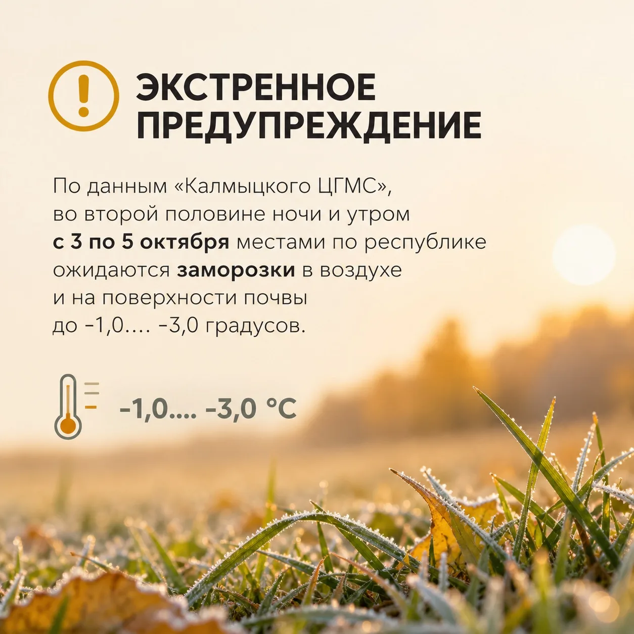 📢 Экстренное предупреждение