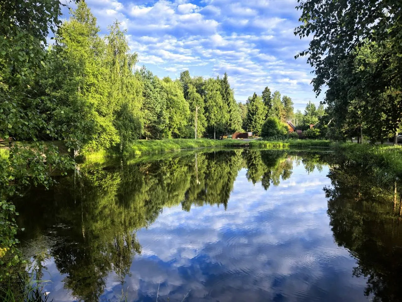 Утро в окраинах Наро-Фоминска 🌿

Фото: Дмитрий Гаич

🏙Афиша Москвы