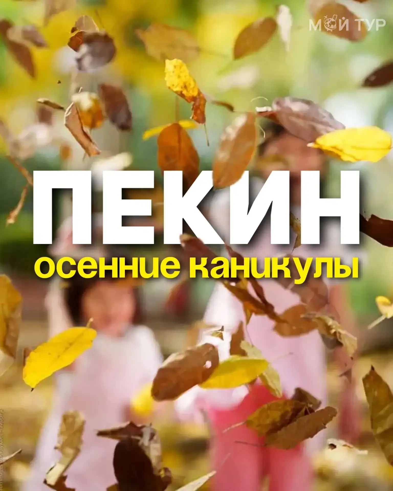 ОСЕННИЕ ТУРЫ В ПЕКИН