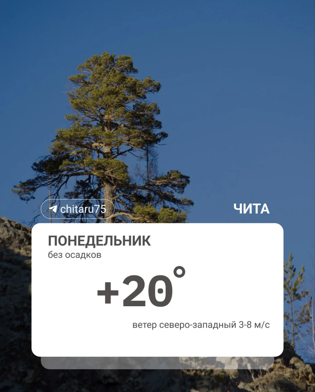 Изображение к публикации «Chita.Ru | Новости Читы»