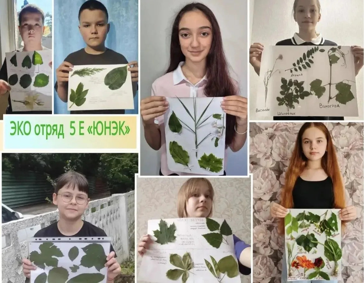 ☘️Отчёт о деятельности отряда «ЮНЭК» 

☘️В рамках реализации программы летнего оздоровительного отды