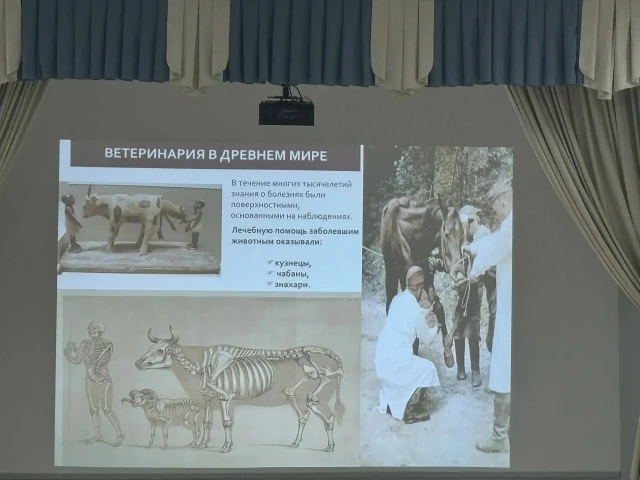 В рамках профориентационной работы для учащихся школы прошёл познавательный классный час, посвящённы