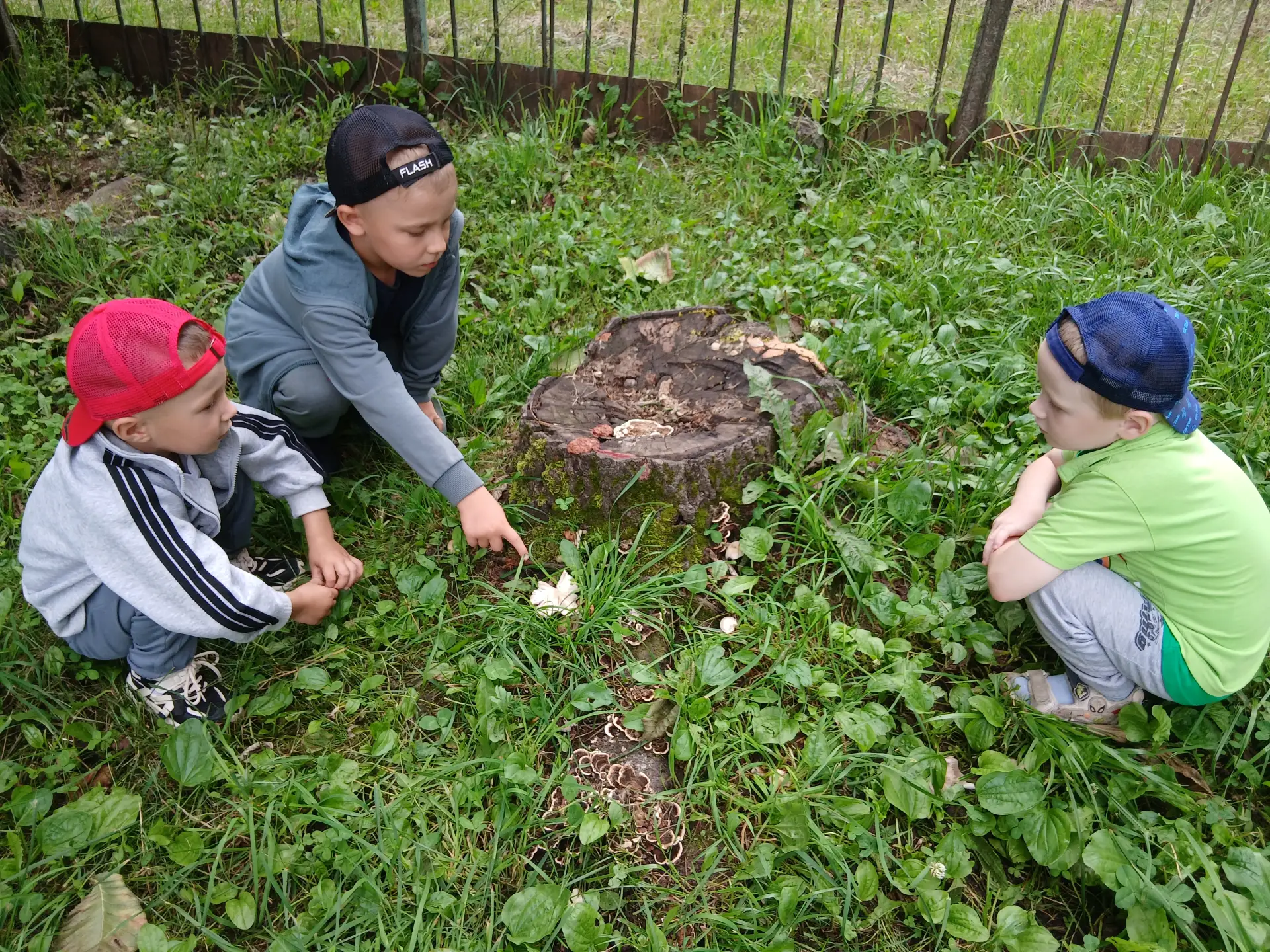 В летний период, когда дети долго гуляют в детском саду, городских парках и на на природе, проводятс