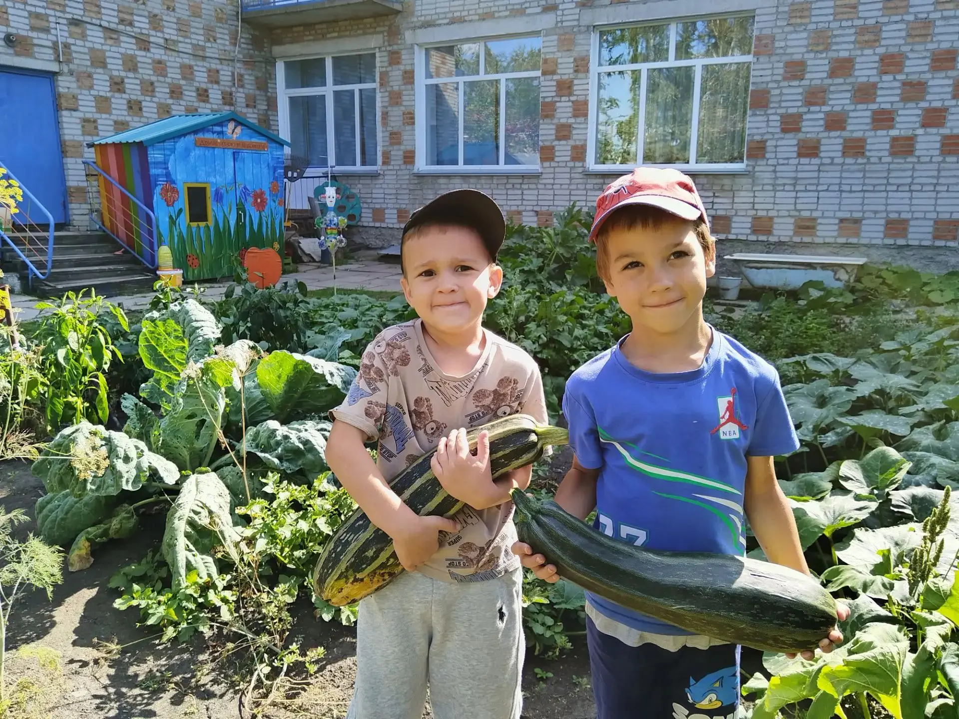 Ребята подготовительной к школе группы собрали урожай кабачков. Все дружно пололи, рыхл...