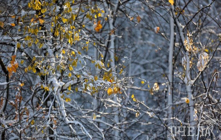 ⚠️ По данным синоптиков, в воскресенье, 4 октября, в Челябинской области ожидаются: