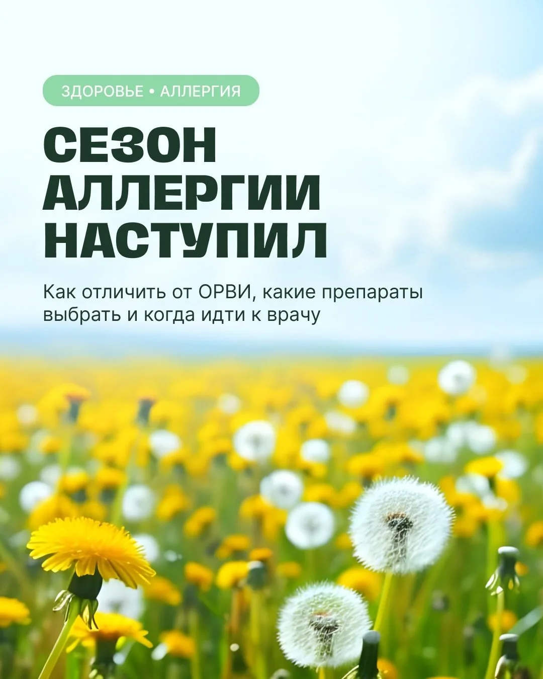 Сезон аллергии в самом разгаре 🌼

Но как отличить аллергию от  обычной простуды?

Перед вами проста