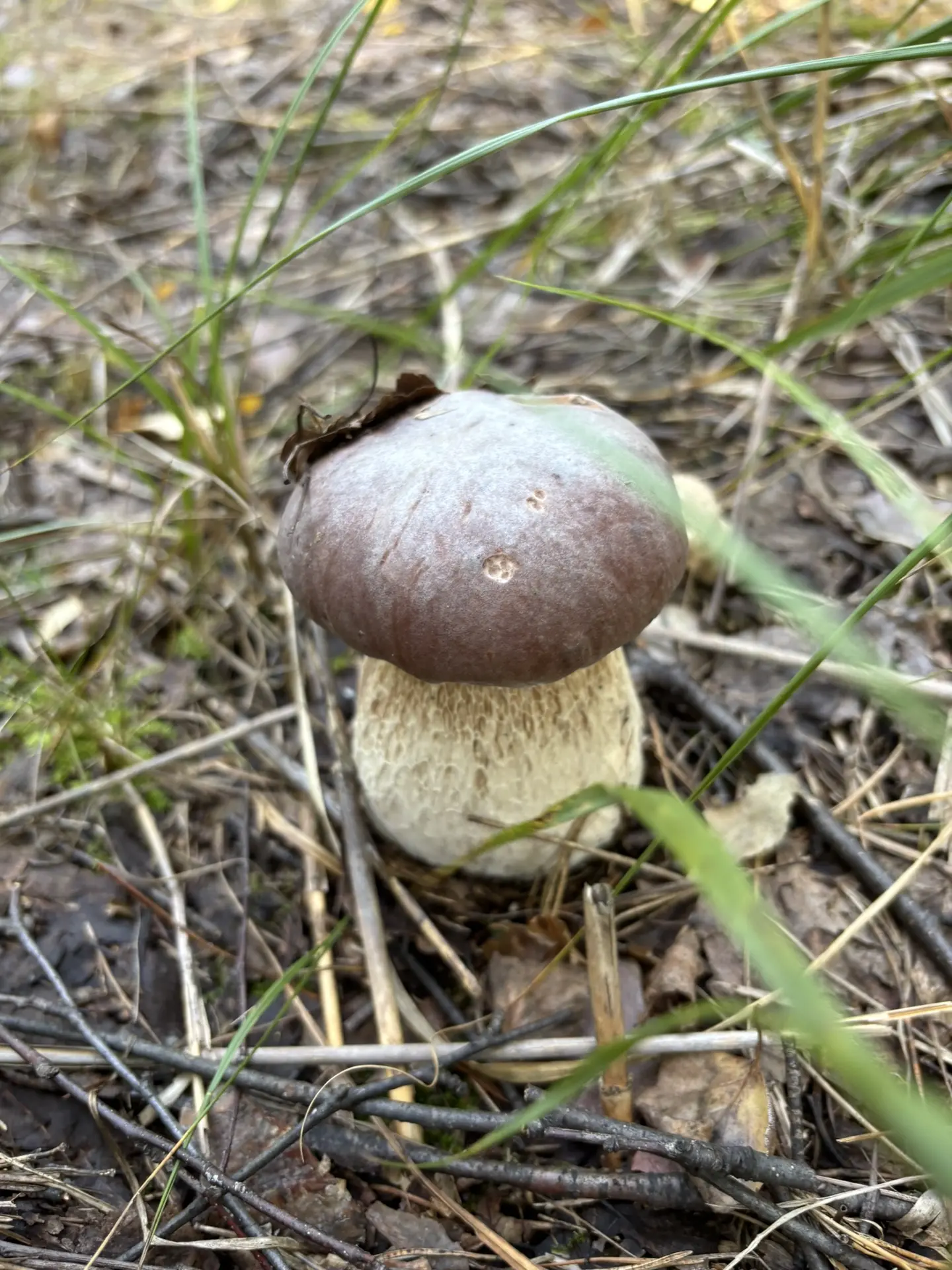 Подборка красивых осенних фото для вашего настроения😁
