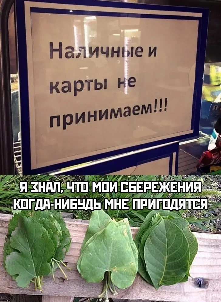 Успешной недели мои дорогие Венеры ✨  #мемный_понедельник