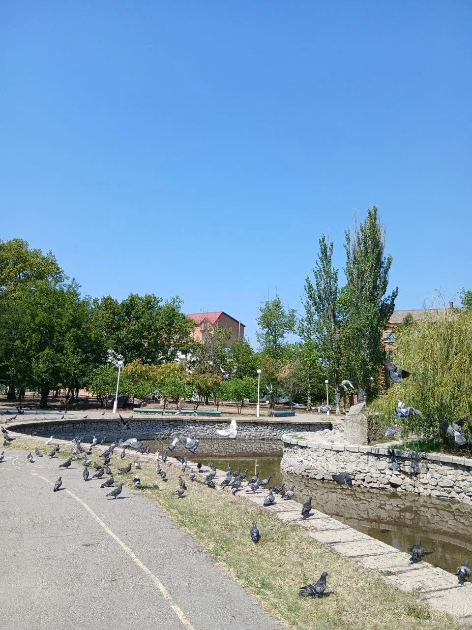 Доброе утро, Новая Каховка 🤍