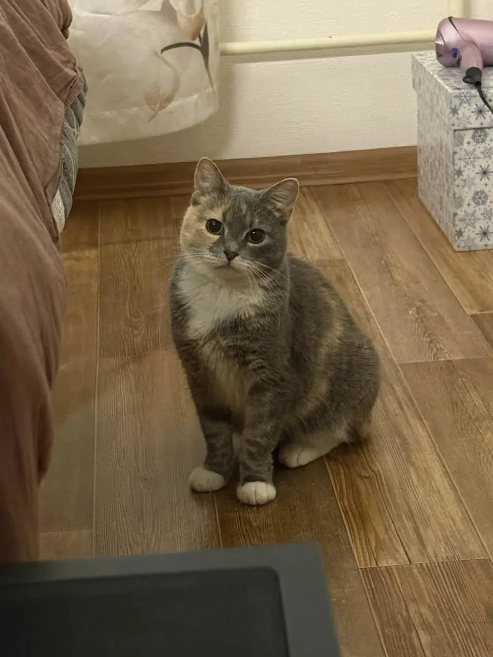 #из_нового_дома