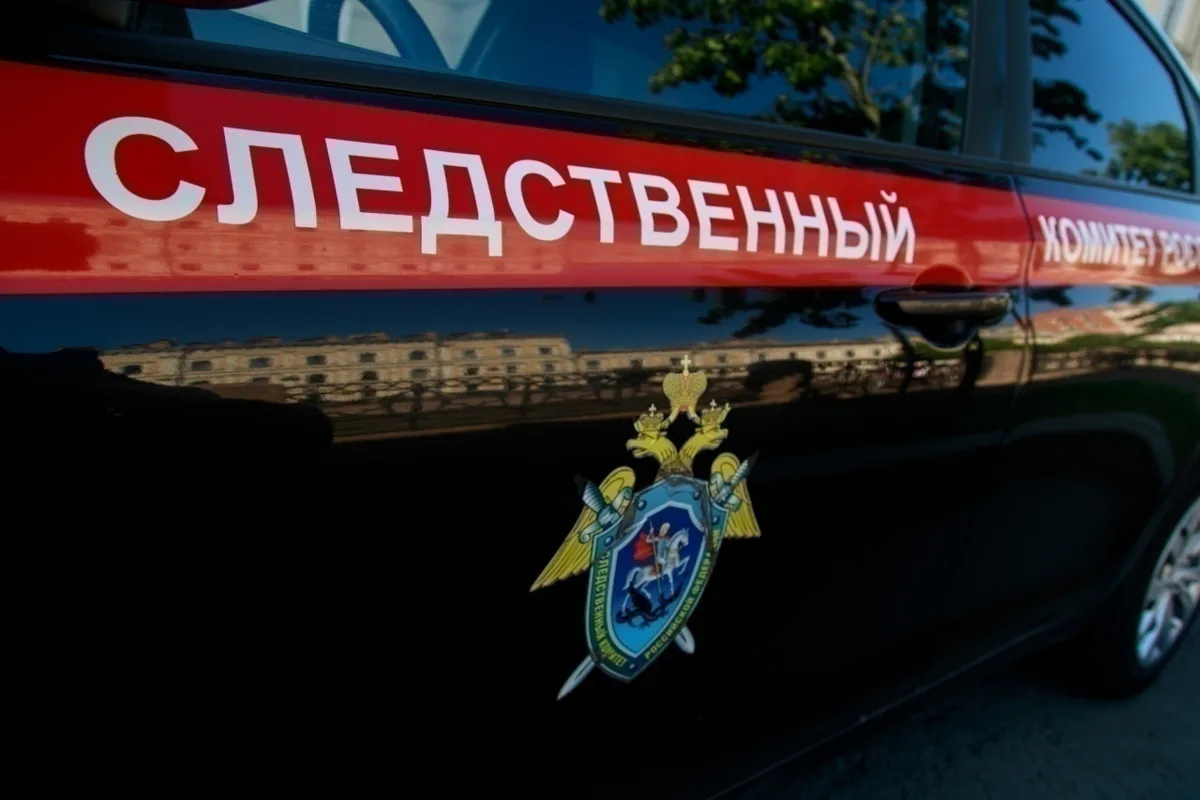В Ленобласти возбудили дело о призывах к терроризму в интернете