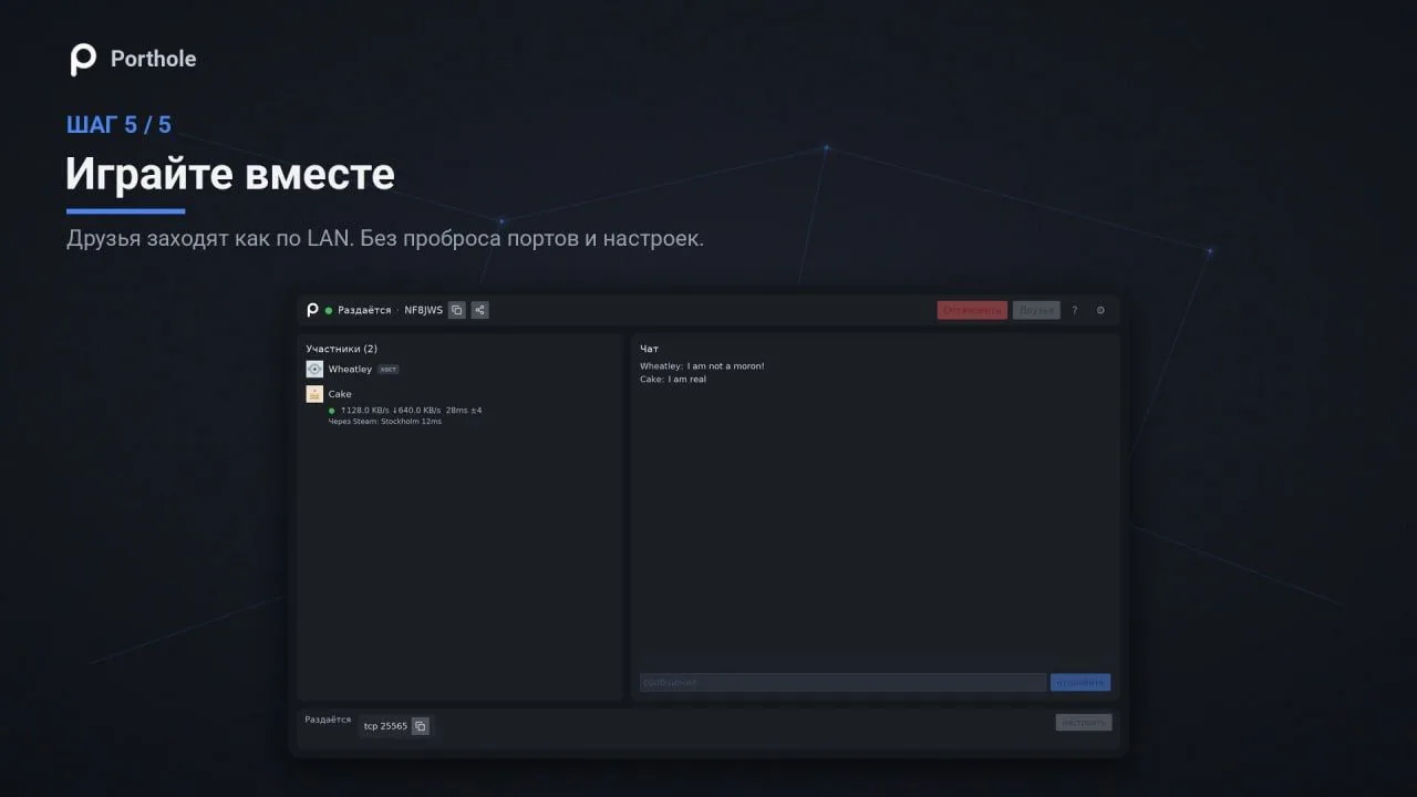 В Steam выйдет бесплатный аналог Hamachi – Porthole

Тулза работает через Steam и не требует создани