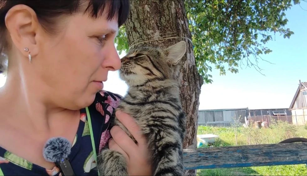 Мусик перенял повадки Тиши. Бывает такое? 🤷
