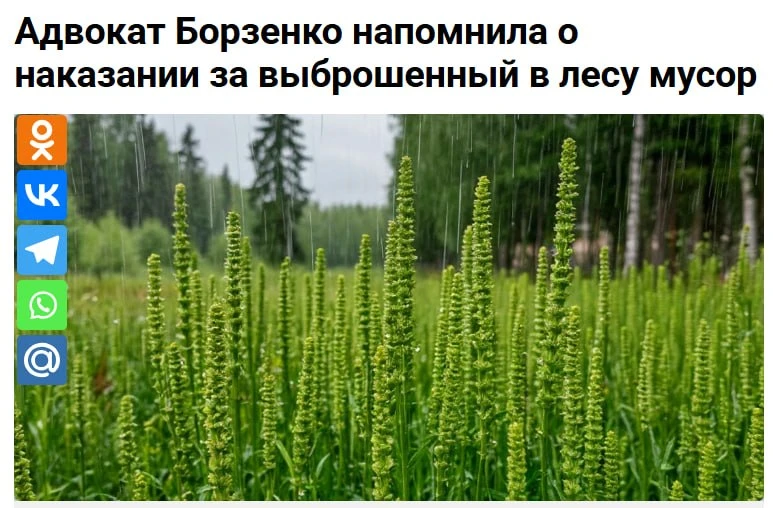 За что жителей ЛНР могут оштрафовать на десятки тысяч рублей во время отдыха на природе

С приходом 