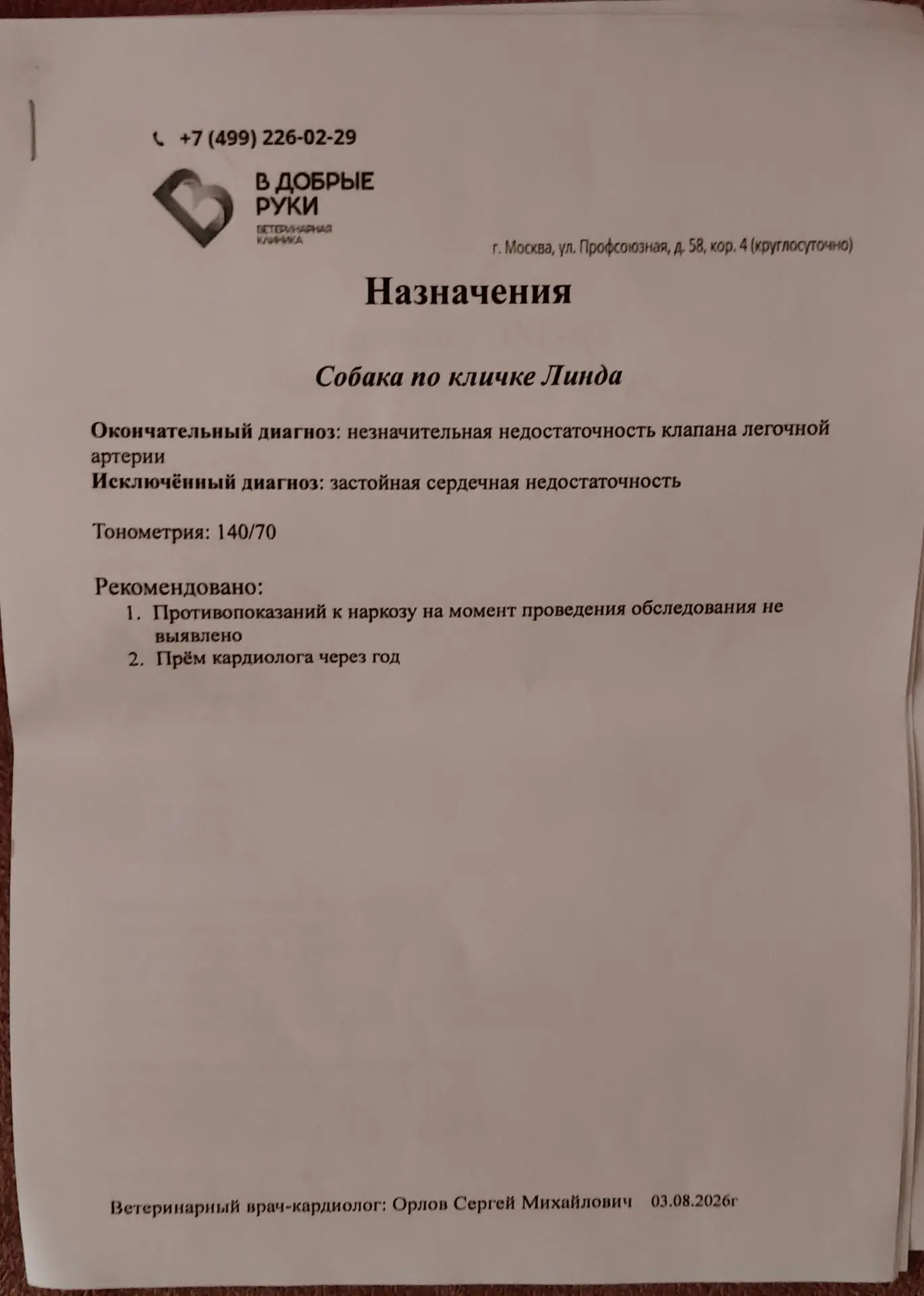 Медиа публикации