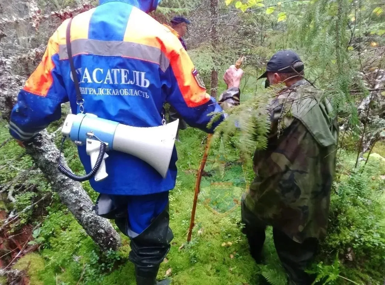 За прошедшие сутки подразделения территориального пожарно-спасательного гарнизона Ленин...