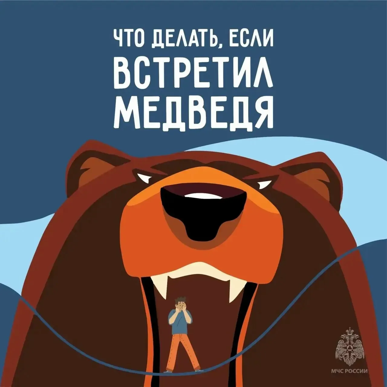 Осторожно, медведь❗️