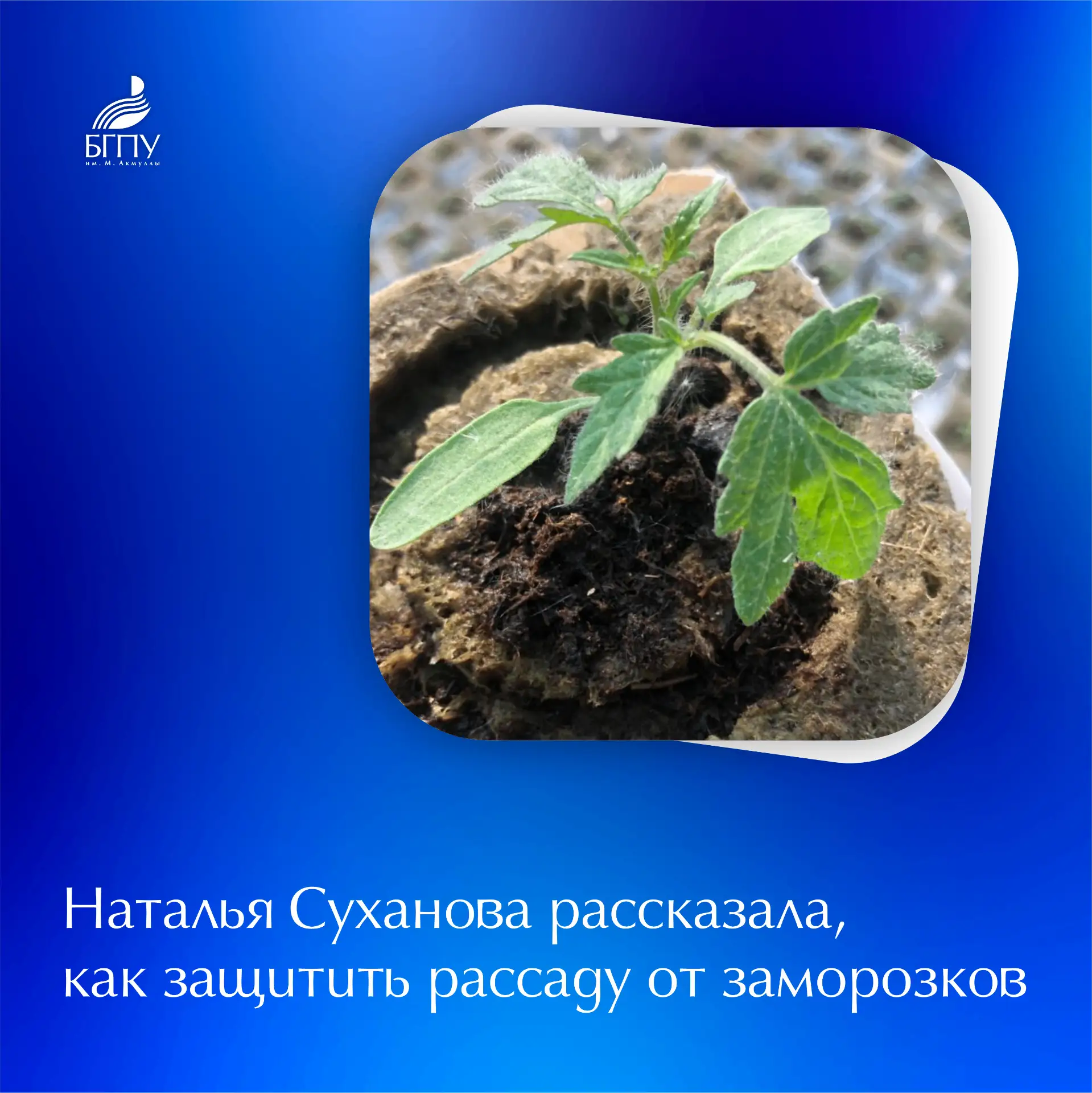 🌿 Башкортостан относится к зоне рискованного земледелия, что обусловлено географическим положением и