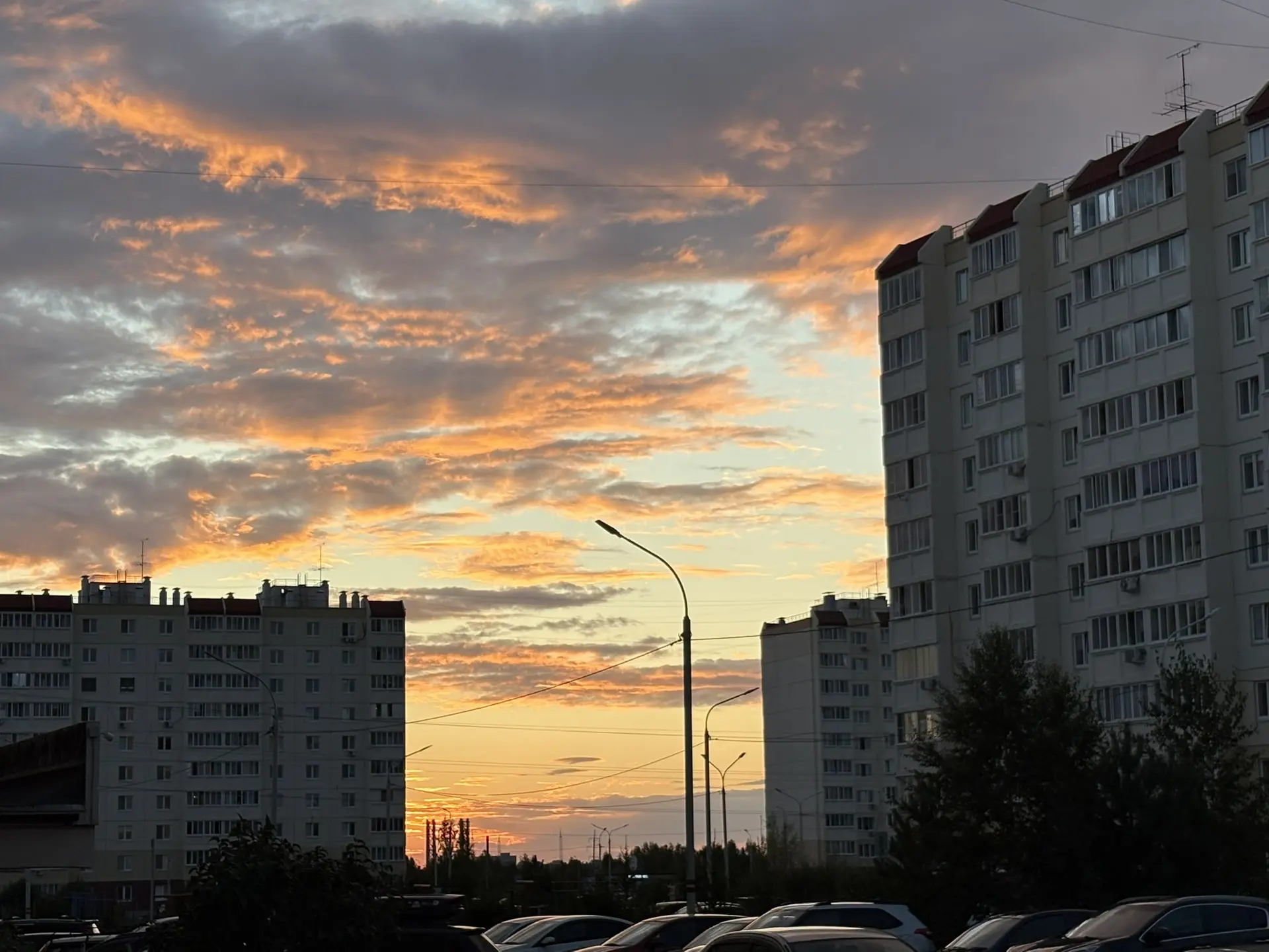 Смотрите, какое красивое сегодня небо!