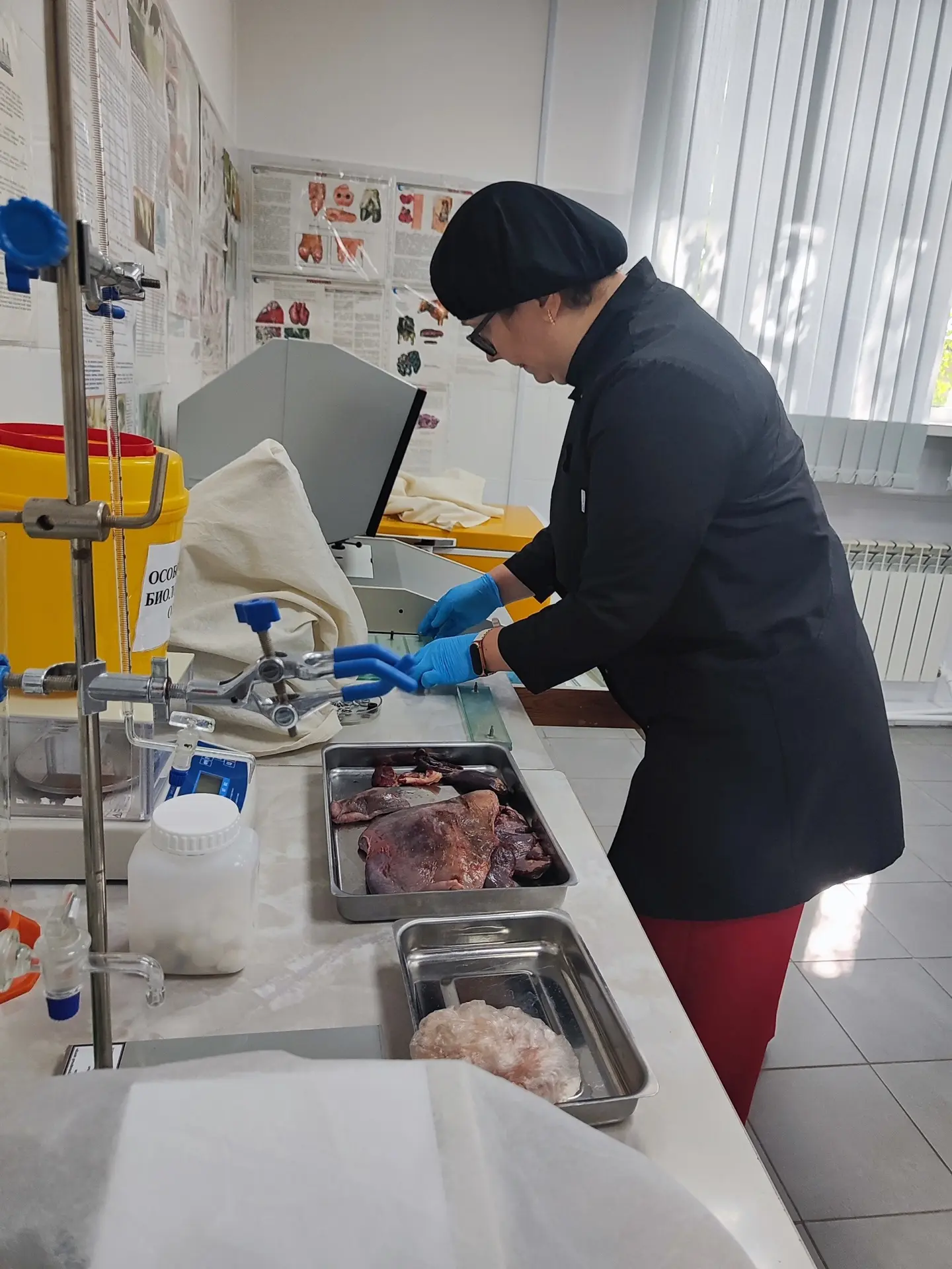 В лаборатории ветеринарно‑санитарной экспертизы филиала БУ «Ветеринарный центр» (г. Сов...