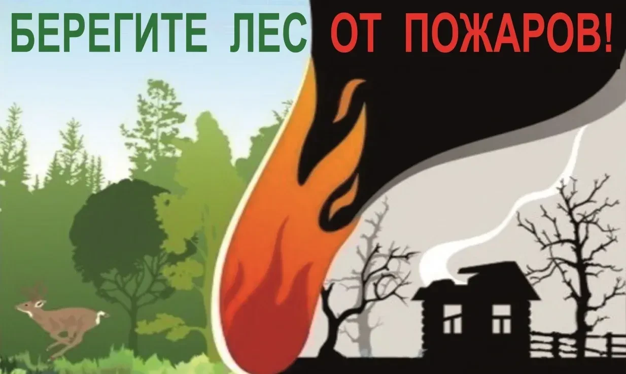 Останови огонь: сохраним леса России вместе!
