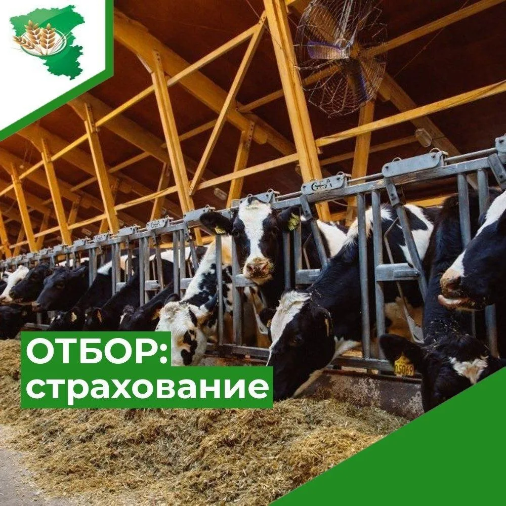 Объявляется отбор на предоставление субсидии на возмещение части затрат на уплату страх...