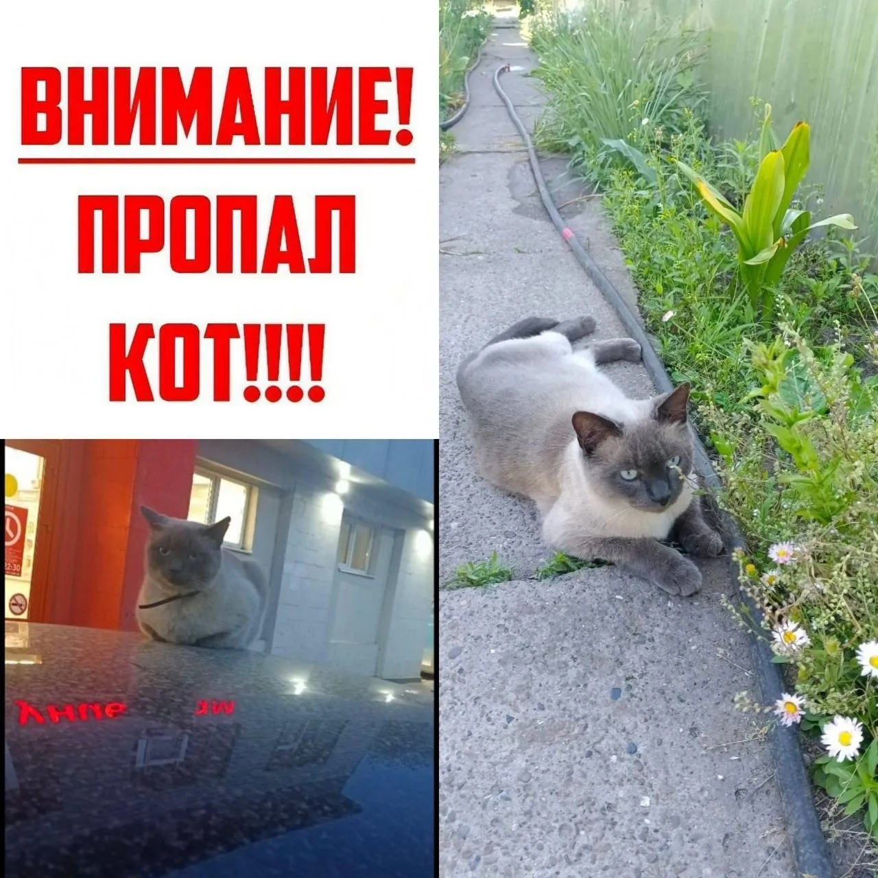 ⚠️ Внимание!