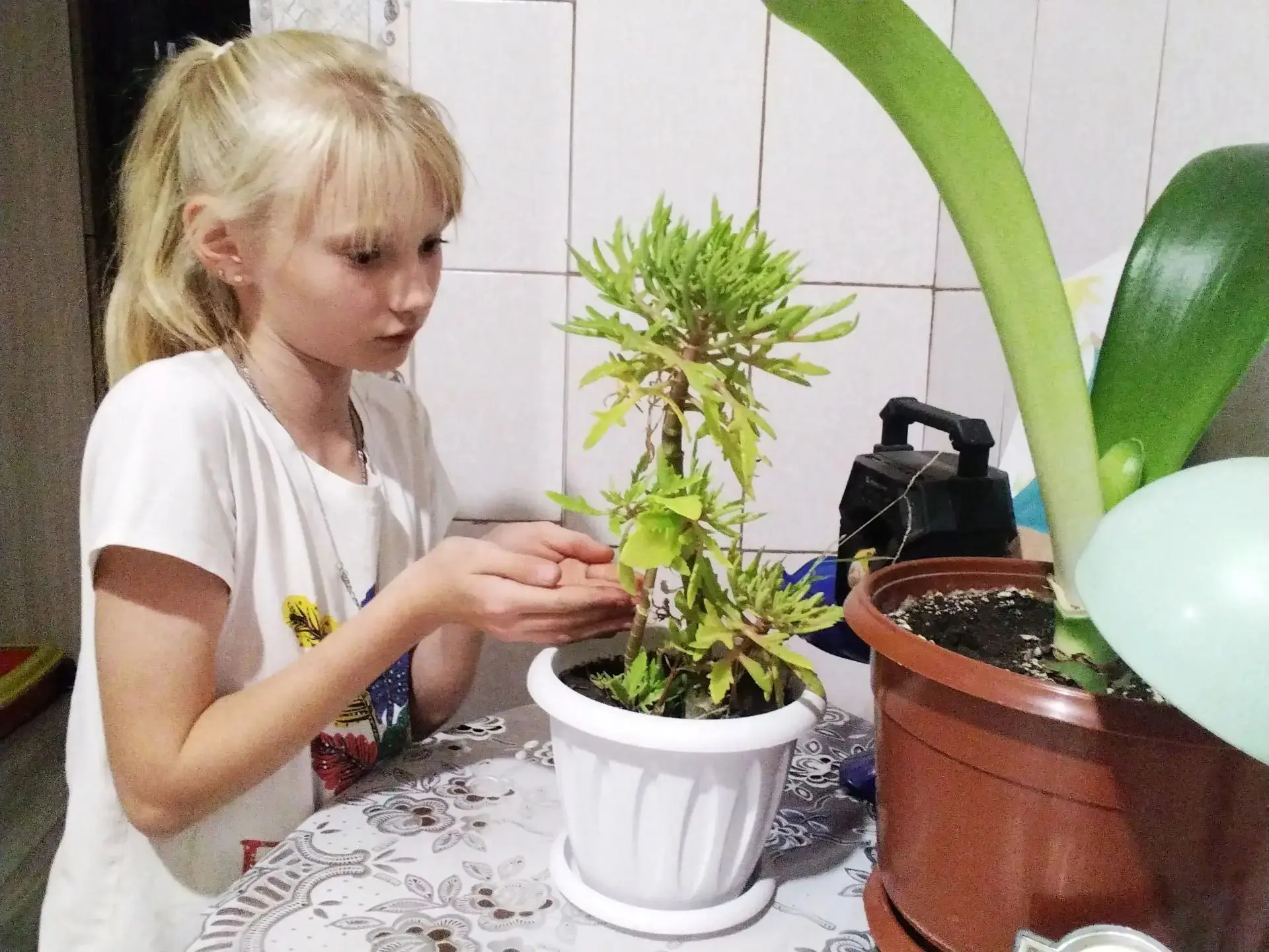 🕯️Сегодня, 3 сентября, в День солидарности в борьбе с терроризмом, наша школа присоеди...