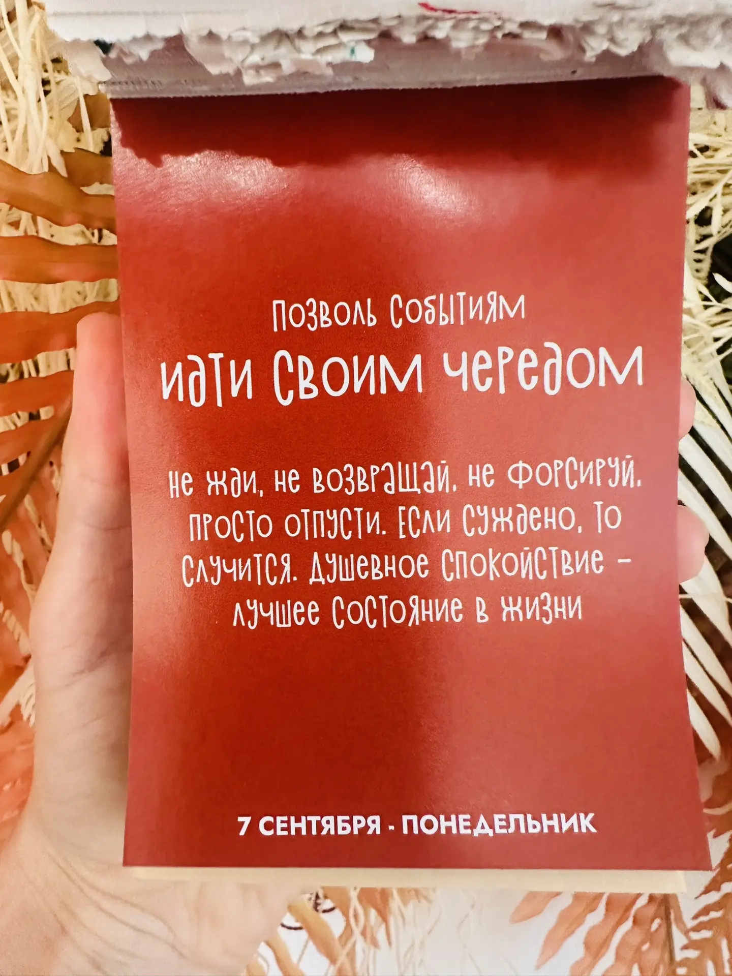 Доброе утро☀️