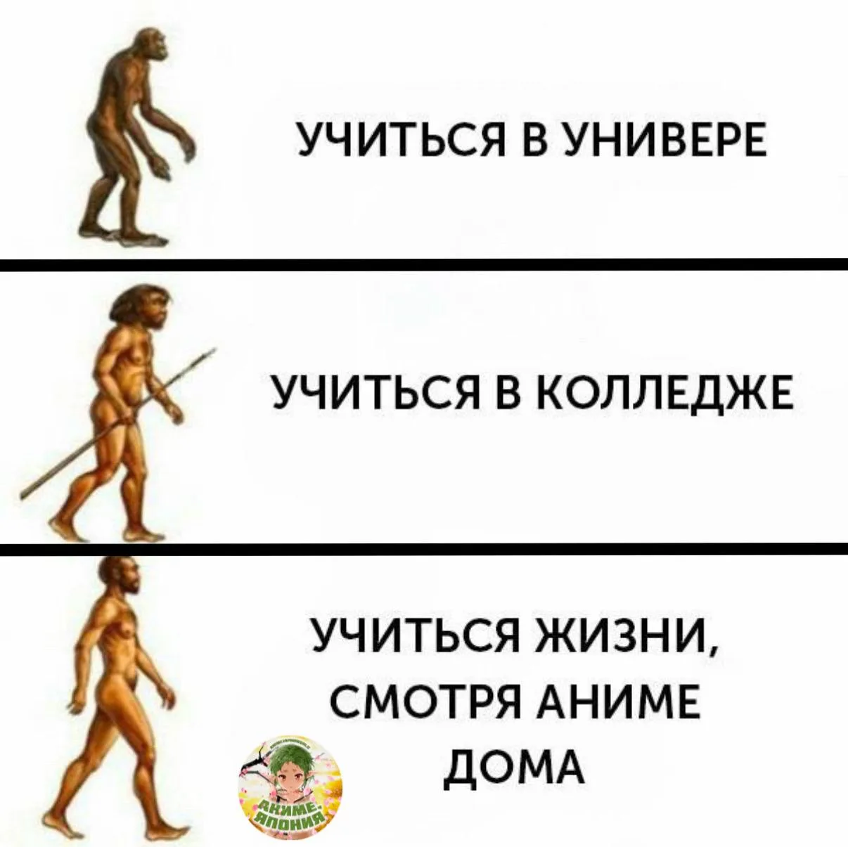 #Мем #mems #мемы