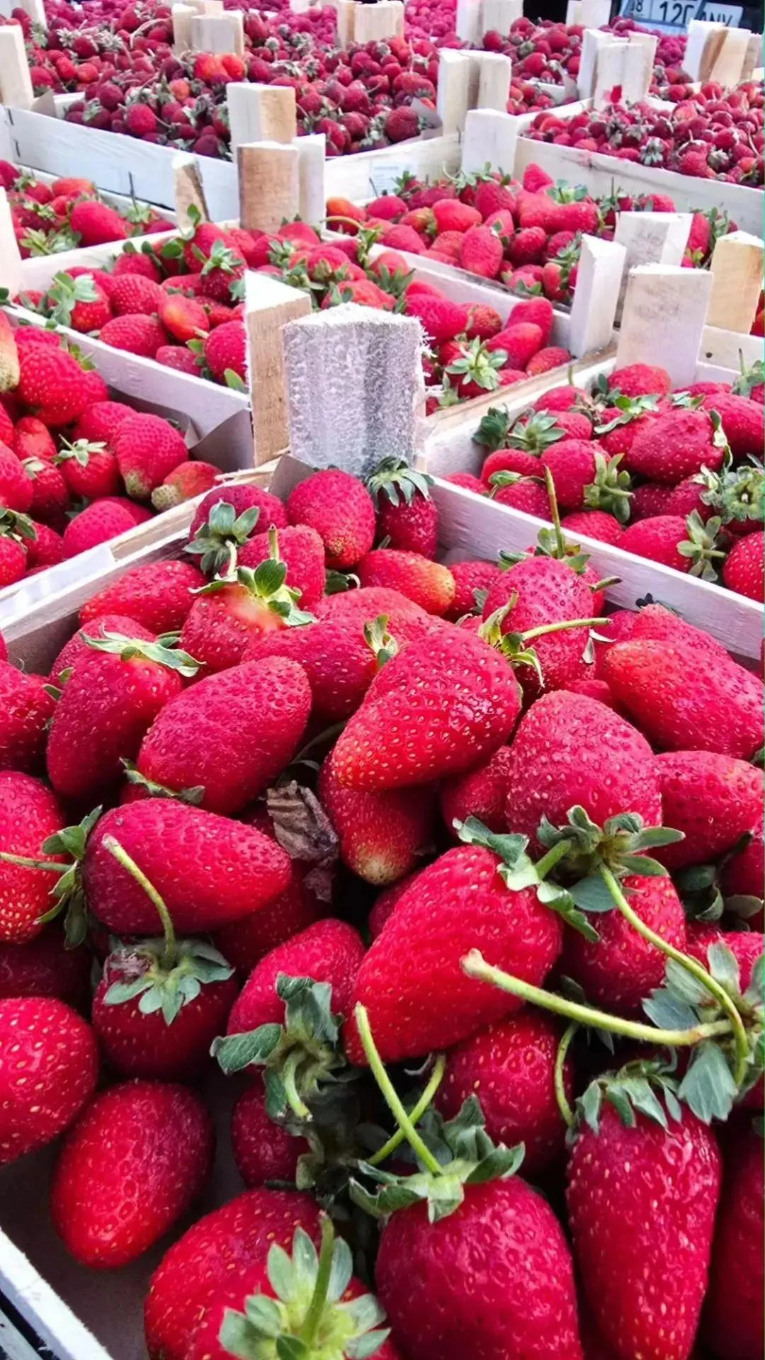 Поступление ягод от Lot_berry