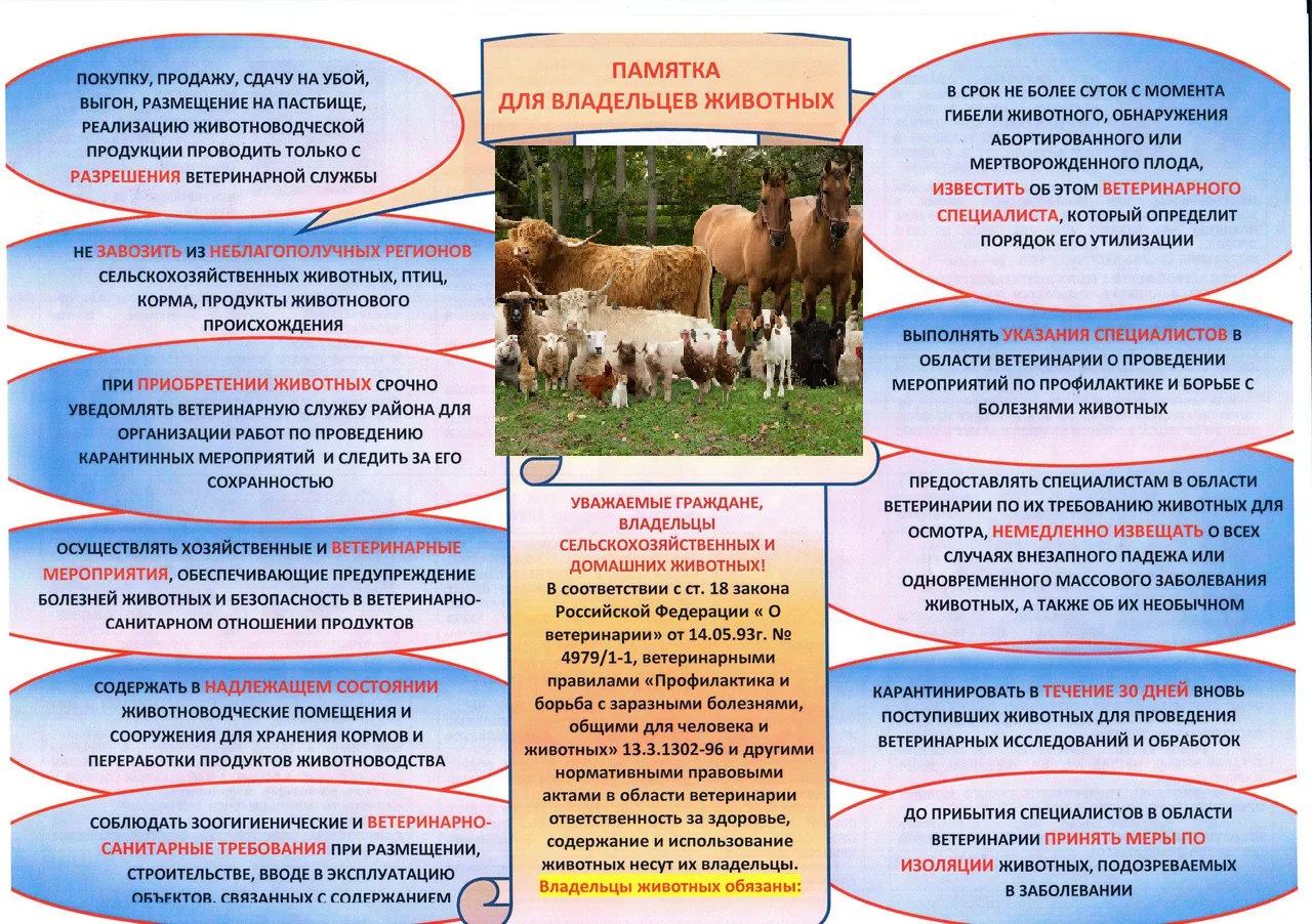Утверждён порядок розыска собственника (владельца) безнадзорных животных, отлова и их содержания (в 